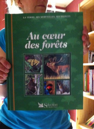 A Vendre